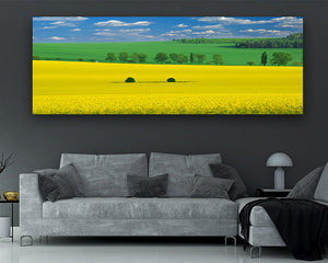 Collection image for: NATURE