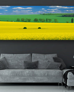 Collection image for: NATURE