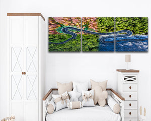 Collection image for: Home page