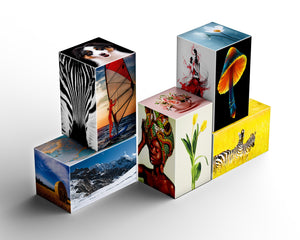 Collection image for: ARTS