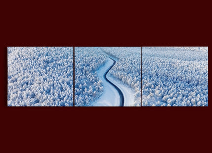 Aerial view on the road and forest at the winter time AOA13008 {x3}