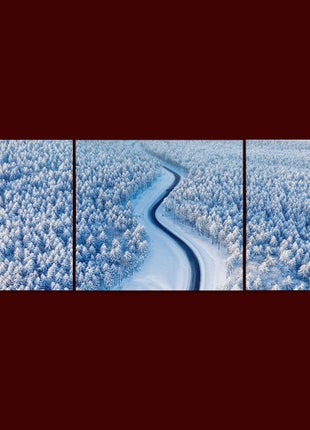 Aerial view on the road and forest at the winter time AOA13008 {x3}