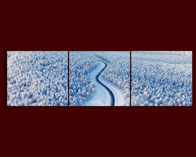 Aerial view on the road and forest at the winter time AOA13008 {x3}