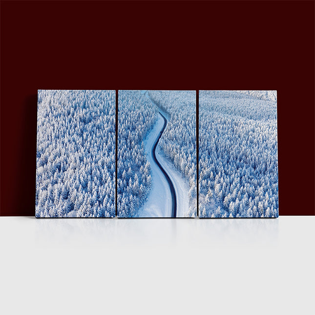 Aerial view on the road and forest at the winter time AOA13008 {x3}