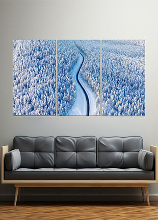 Aerial view on the road and forest at the winter time AOA13008 {x3}