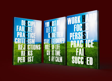 DISCIPLINE FAILURE PRACTICE, WORK HARD FOCUS PERSIST AOA13174 {3x}