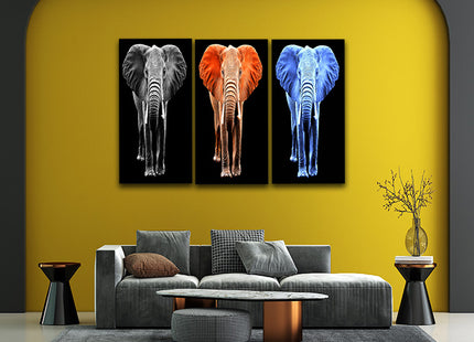 big elephant on black backdrop arted AOA14294{x3}