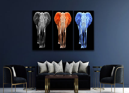 big elephant on black backdrop arted AOA14294{x3}