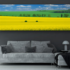 Collection image for: SLIM PANORAMIC