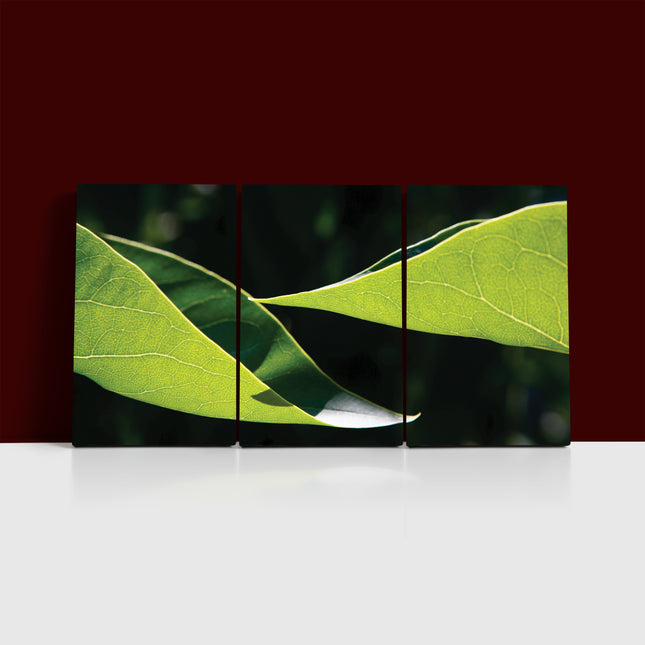 Two leaves uniform light yellow green color AOA13167 {3x}