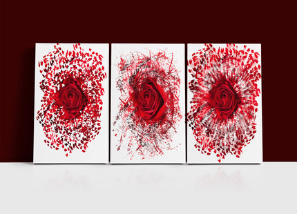 Close up of a red rose exploding AOA13139 {3x}