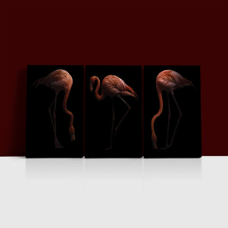Nice American flamingo bird in the dark AOA13140 {3x}