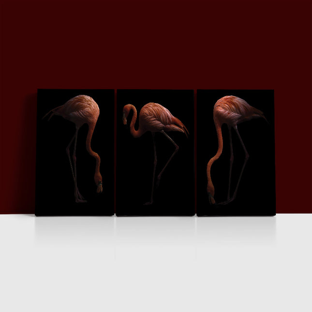Nice American flamingo bird in the dark AOA13140 {3x}