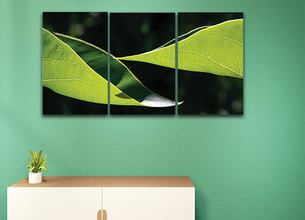 Two leaves uniform light yellow green color AOA13167 {3x}
