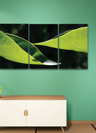 Two leaves uniform light yellow green color AOA13167 {3x}