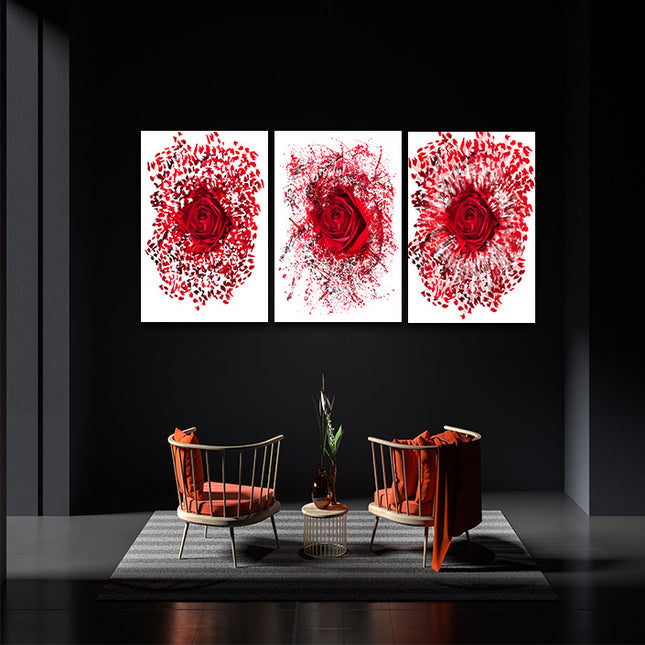 Close up of a red rose exploding AOA13139 {3x}