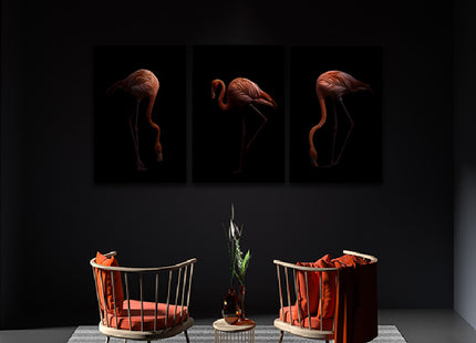 Nice American flamingo bird in the dark AOA13140 {3x}