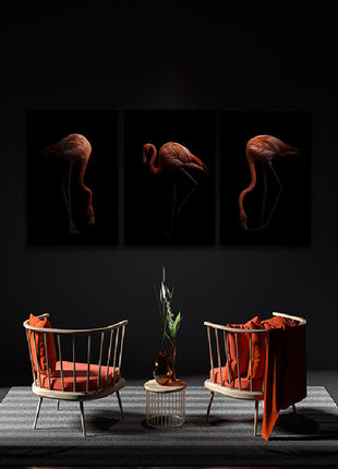 Nice American flamingo bird in the dark AOA13140 {3x}