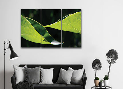 Two leaves uniform light yellow green color AOA13167 {3x}