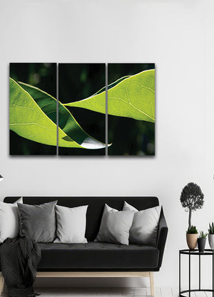 Two leaves uniform light yellow green color AOA13167 {3x}