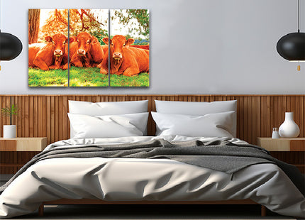 closeup of tree cows lying on the green grass Arted AOA13135 {x3}