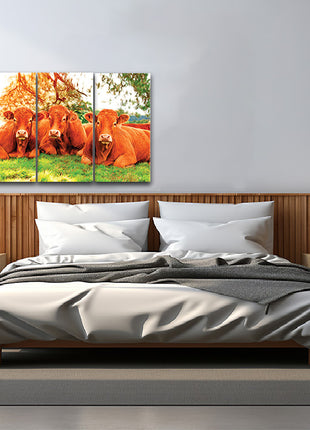 closeup of tree cows lying on the green grass Arted AOA13135 {x3}