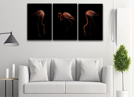 Nice American flamingo bird in the dark AOA13140 {3x}