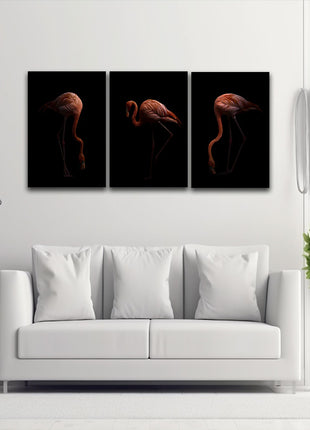 Nice American flamingo bird in the dark AOA13140 {3x}