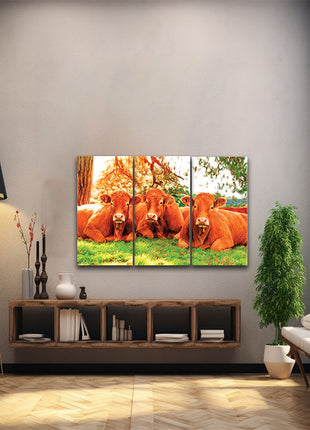 closeup of tree cows lying on the green grass Arted AOA13135 {x3}