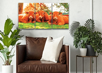 closeup of tree cows lying on the green grass Arted AOA13135 {x3}