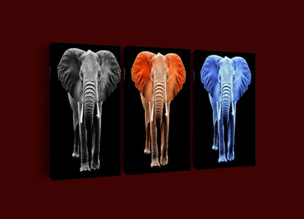 big elephant on black backdrop arted AOA14294{x3}