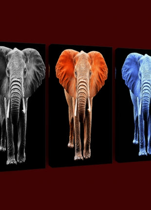 big elephant on black backdrop arted AOA14294{x3}