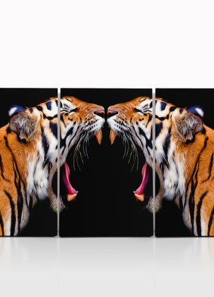 sumatran tiger roaring powerhouse Arted in dramatic hyperreal detail AOA14298 {x3}