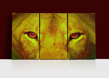 female lion eyes close up arted AOA14295 {x3}
