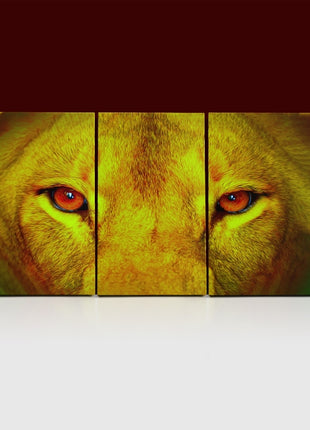 female lion eyes close up arted AOA14295 {x3}