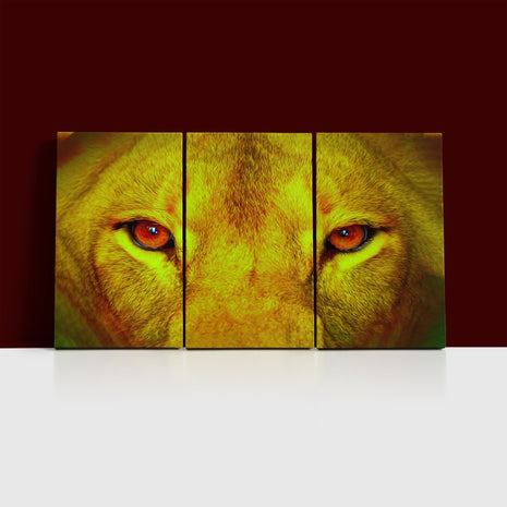 female lion eyes close up arted AOA14295 {x3}