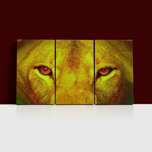 female lion eyes close up arted AOA14295 {x3}