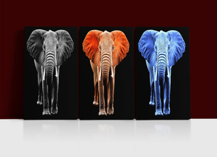 big elephant on black backdrop arted AOA14294{x3}