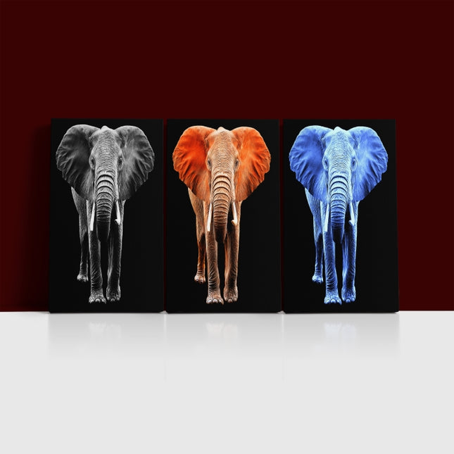 big elephant on black backdrop arted AOA14294{x3}
