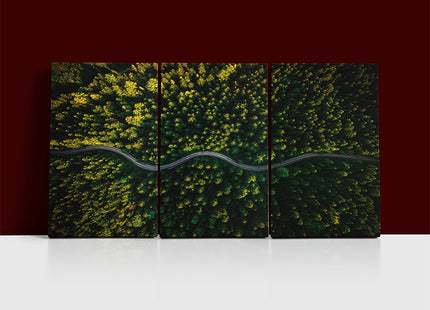WINDING CURVY ROAD TROUGH FOREST AERIAL VIEW  AOA13018 {x3}