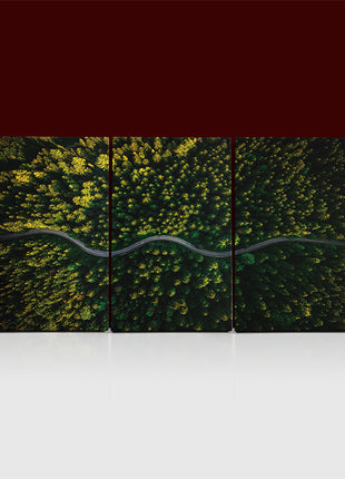 WINDING CURVY ROAD TROUGH FOREST AERIAL VIEW  AOA13018 {x3}