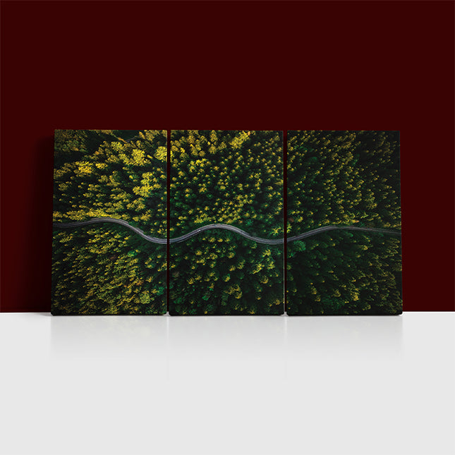 WINDING CURVY ROAD TROUGH FOREST AERIAL VIEW  AOA13018 {x3}