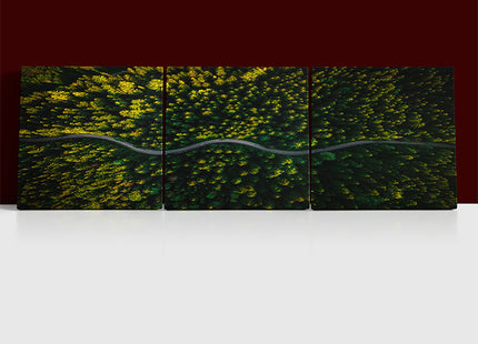 WINDING CURVY ROAD TROUGH FOREST AERIAL VIEW  AOA13018 {x3}