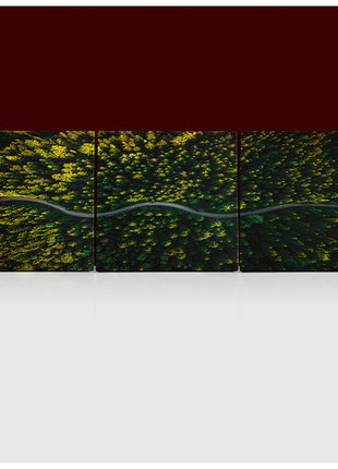 WINDING CURVY ROAD TROUGH FOREST AERIAL VIEW  AOA13018 {x3}