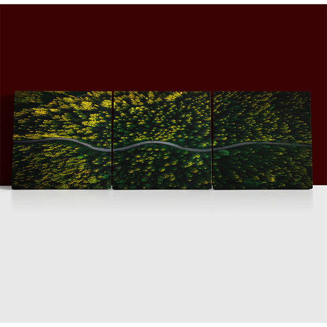 WINDING CURVY ROAD TROUGH FOREST AERIAL VIEW  AOA13018 {x3}