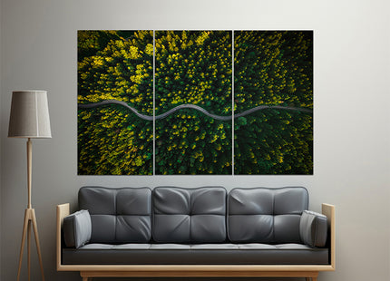 WINDING CURVY ROAD TROUGH FOREST AERIAL VIEW  AOA13018 {x3}