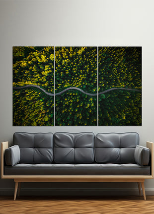 WINDING CURVY ROAD TROUGH FOREST AERIAL VIEW  AOA13018 {x3}