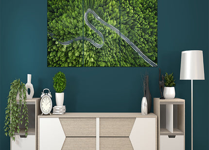 Aerial view of a road in the middle of the forest AOA13020 {x3}