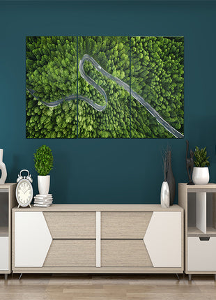 Aerial view of a road in the middle of the forest AOA13020 {x3}