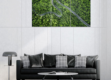 Aerial view of a road in the middle of the forest AOA13020 {x3}